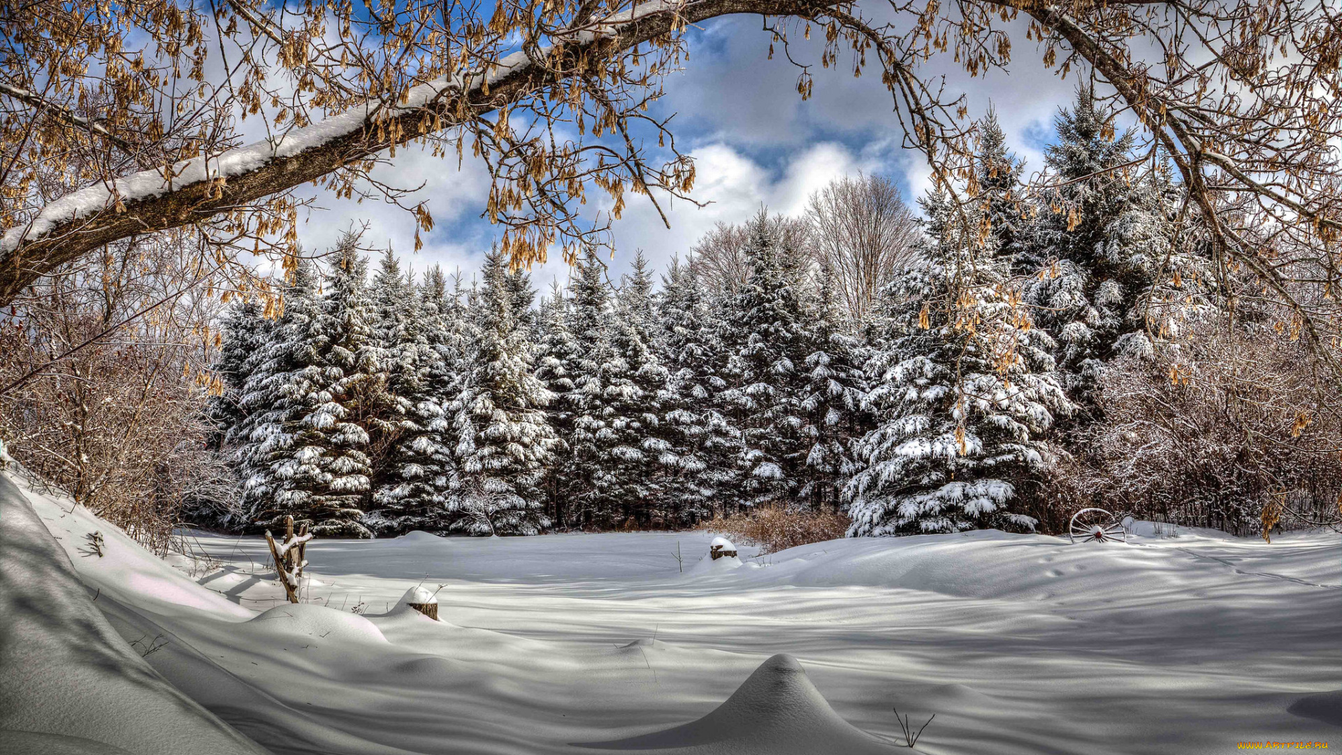 природа, зима, снег