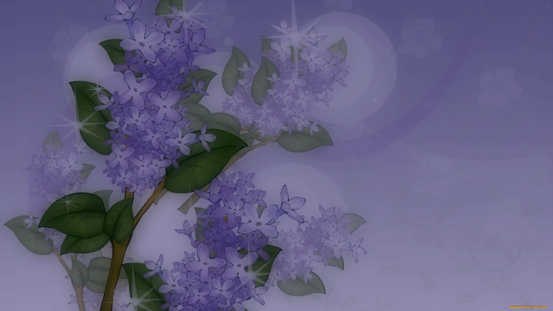 векторная, графика, цветы, , flowers, цветы, фон, сирень