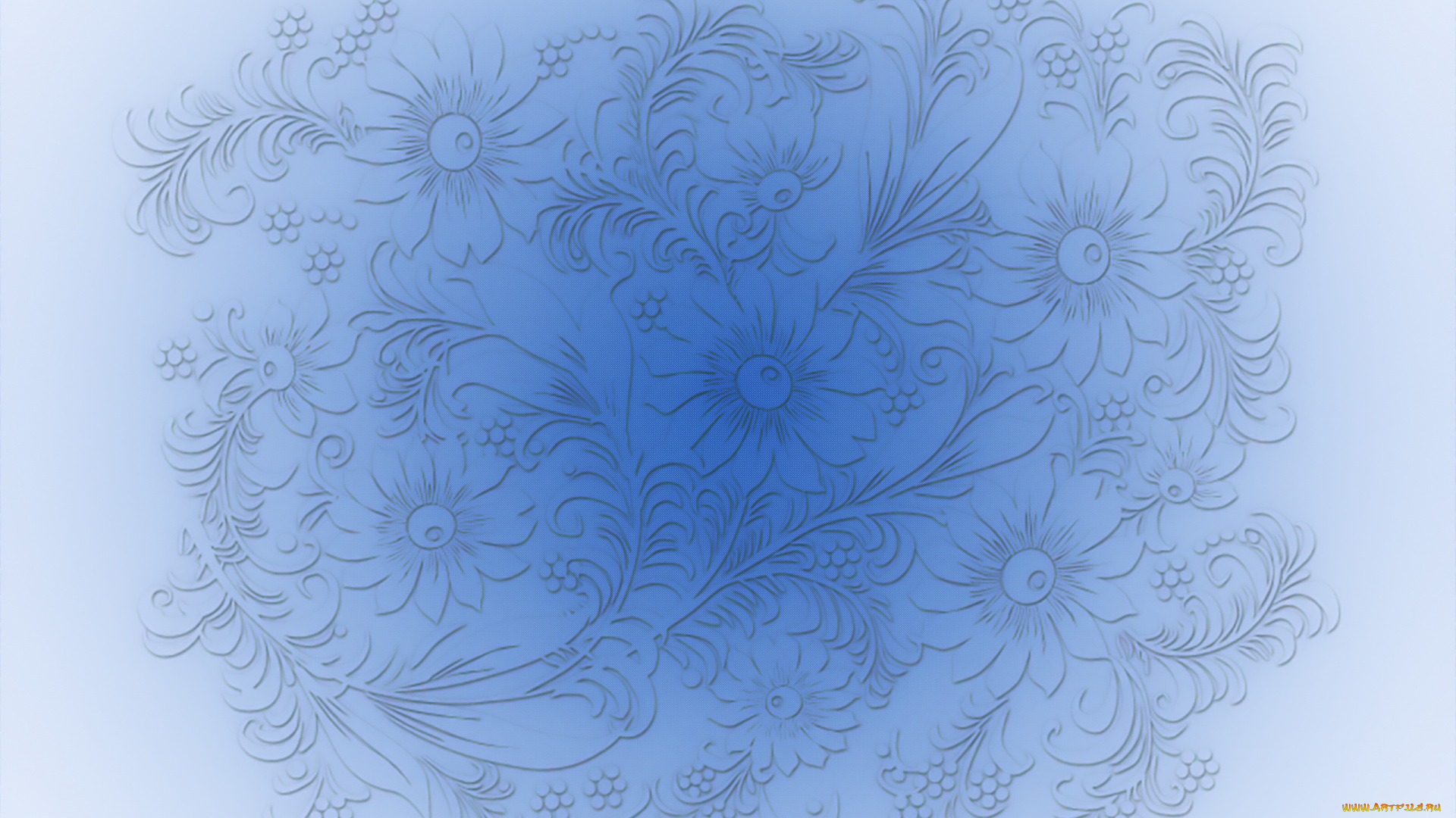 векторная, графика, цветы, , flowers, фон, цветы