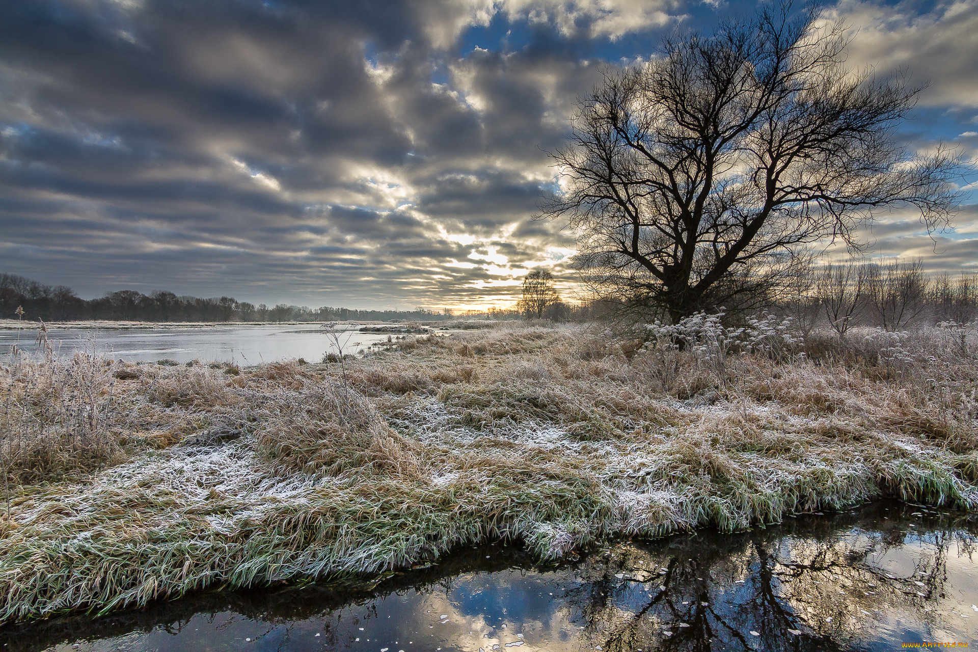 природа, реки, озера, река, лес