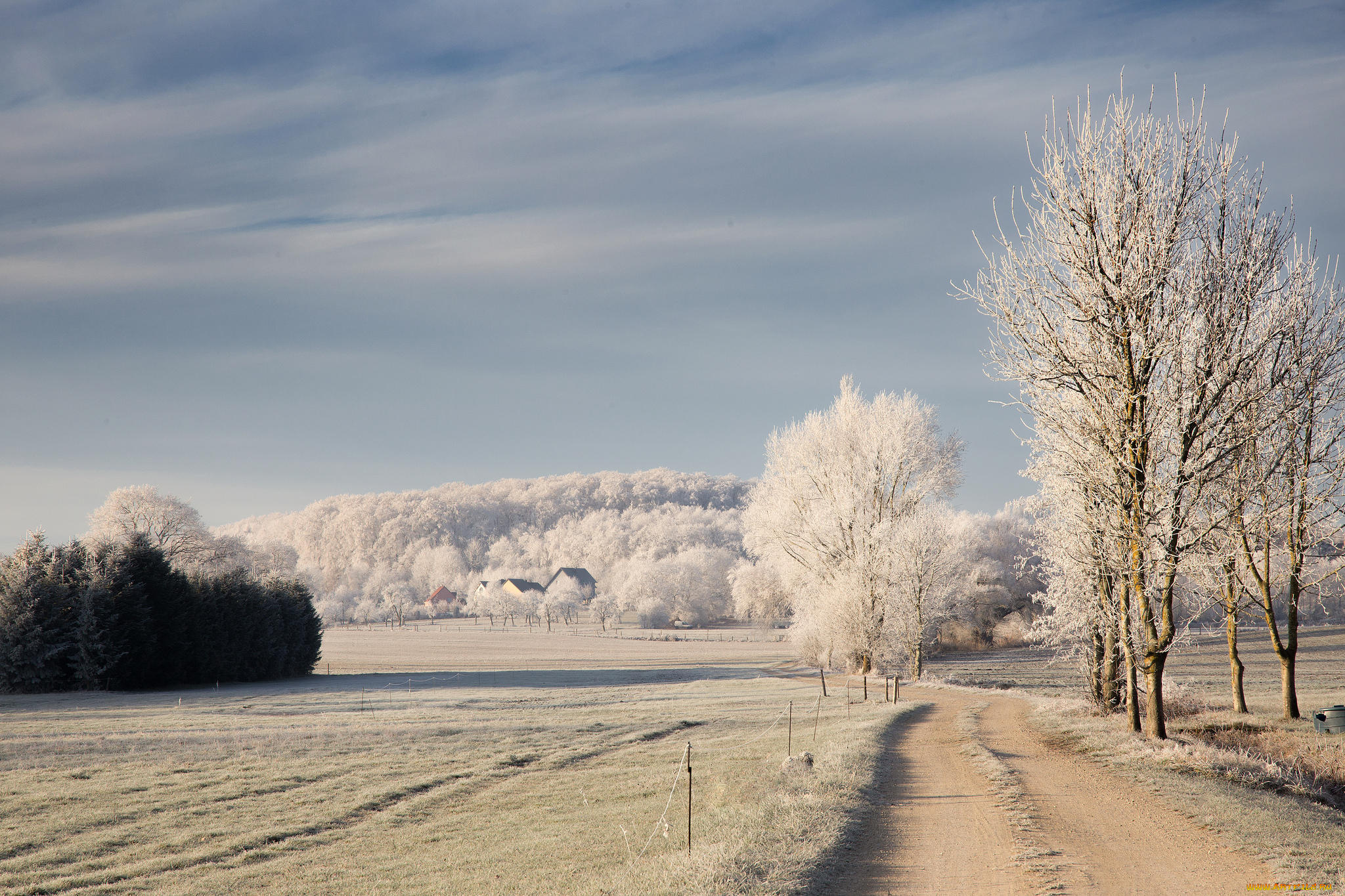 природа, дороги, дорога, деревья, иней