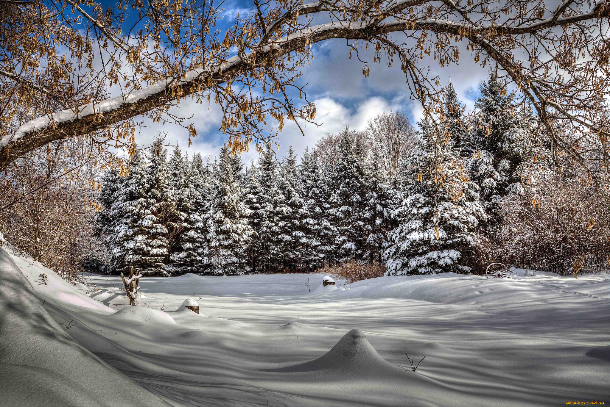природа, зима, снег