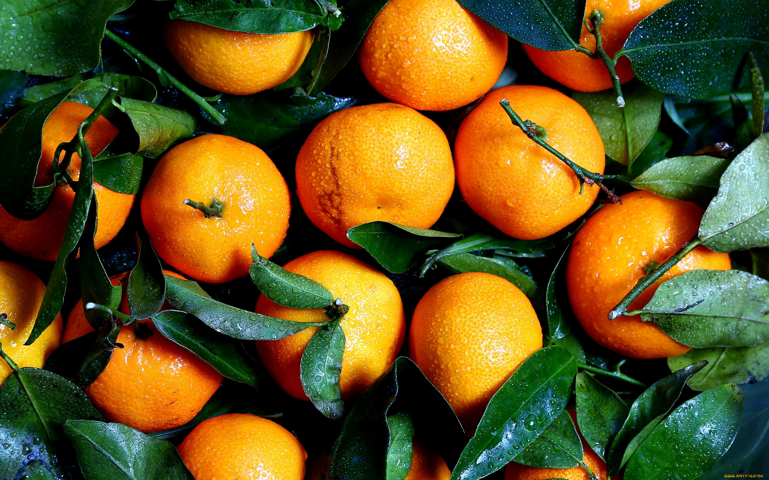 еда, цитрусы, мандарины