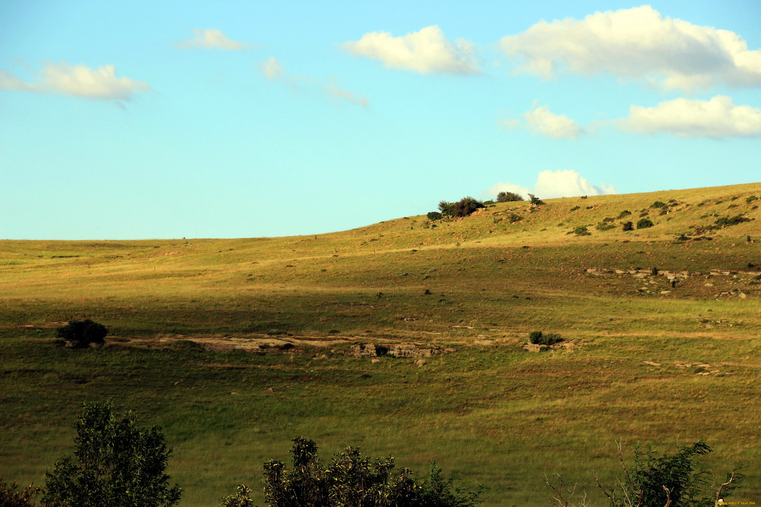 природа, поля, холм