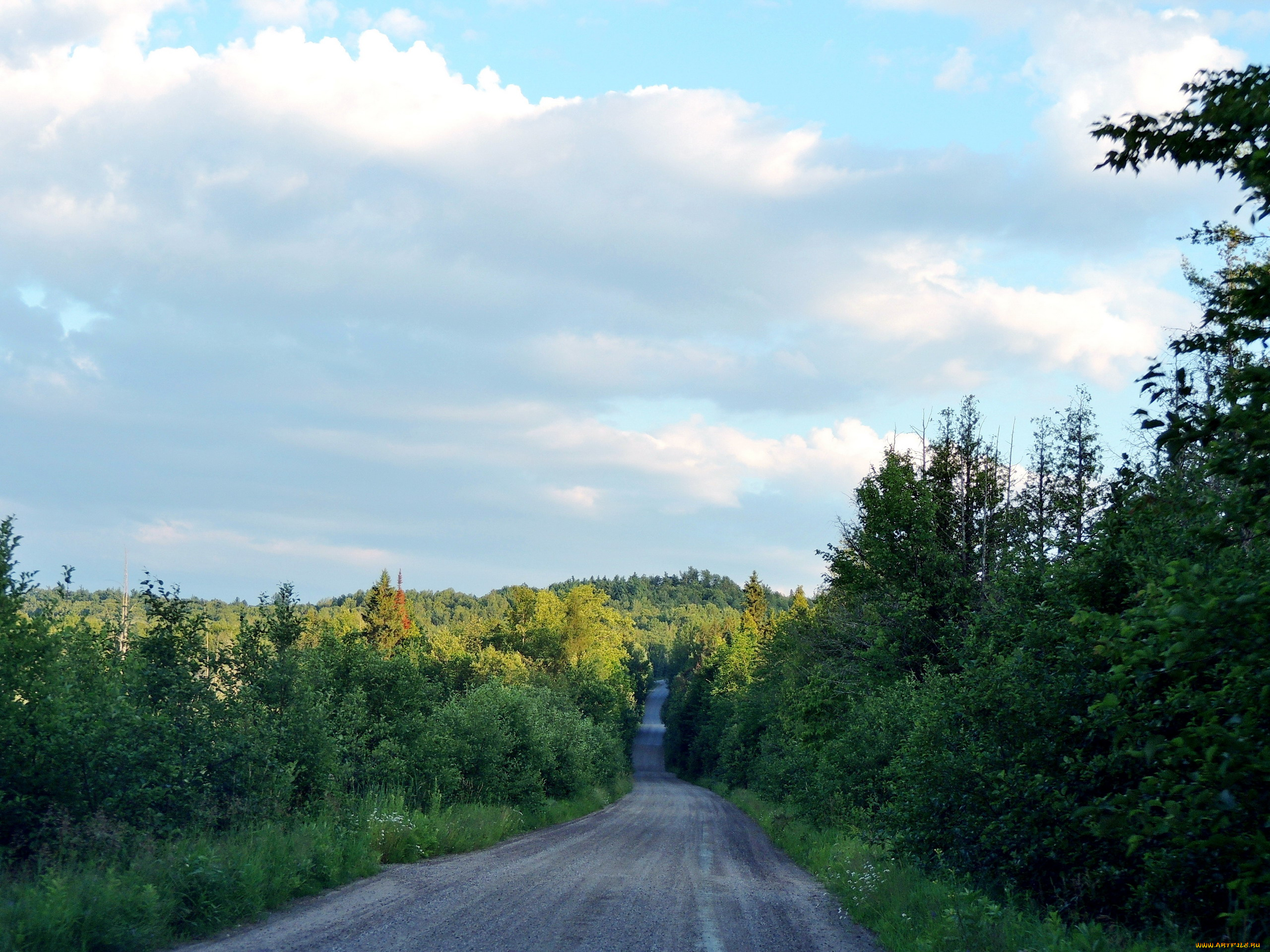природа, дороги, деревья, сельская, дорога