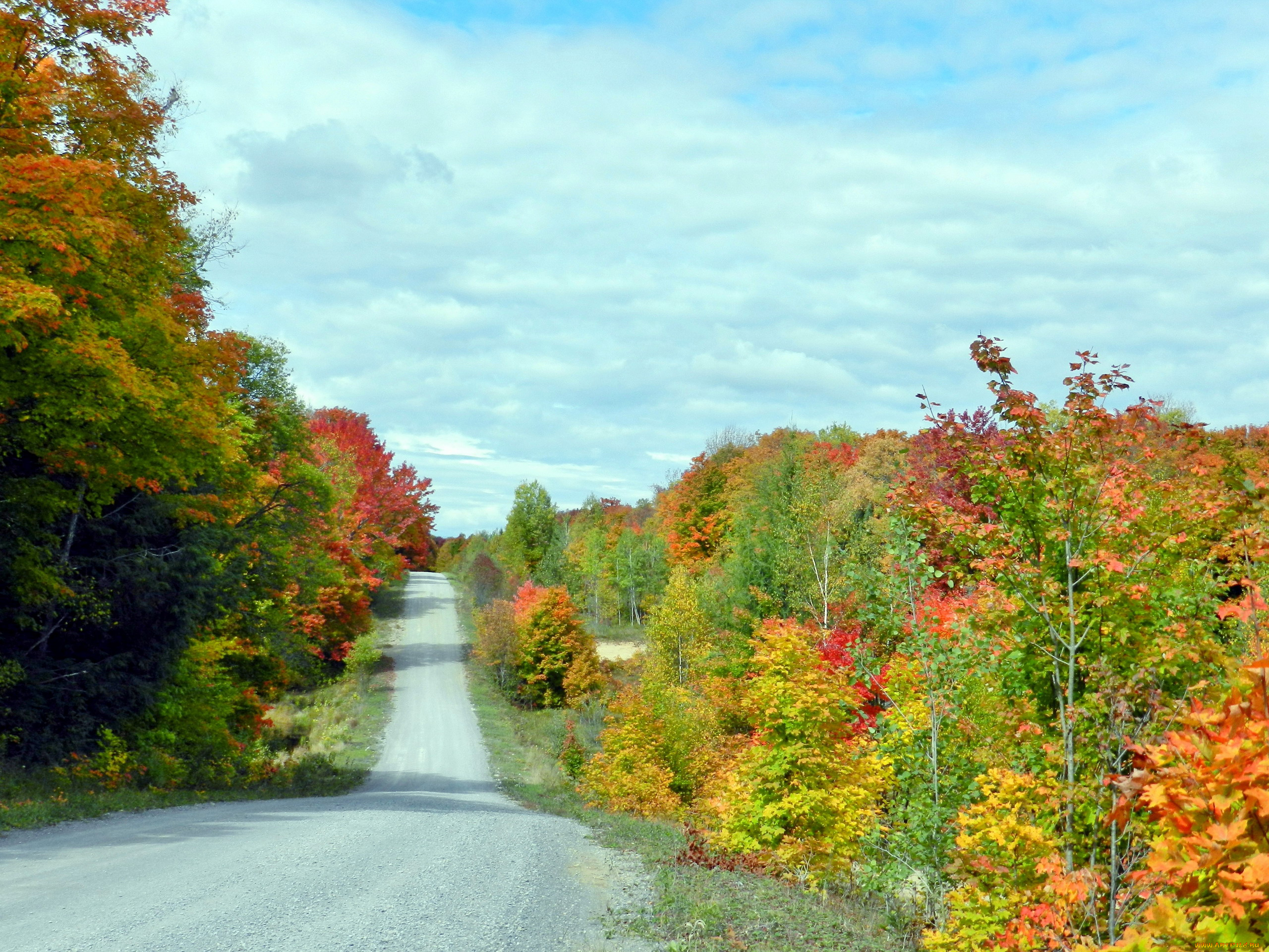 природа, дороги, осень, деревья