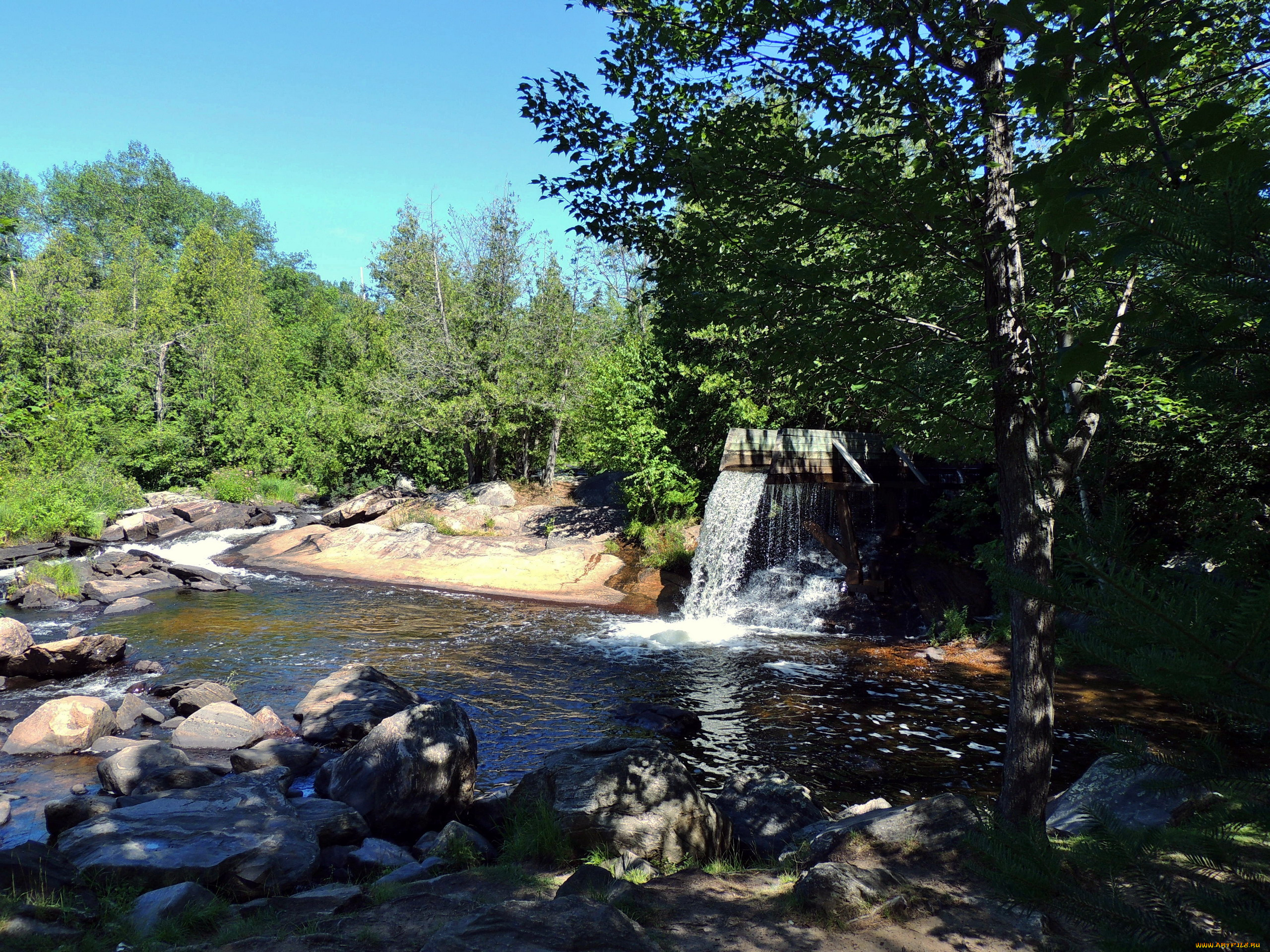 природа, реки, озера, поток, река, камни, деревья