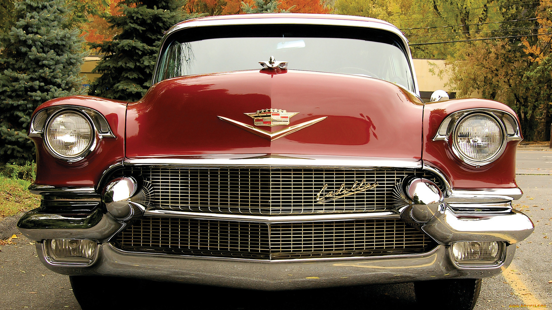 cadillac, maharani, special, 1956, автомобили, cadillac, maharani, special, 1956