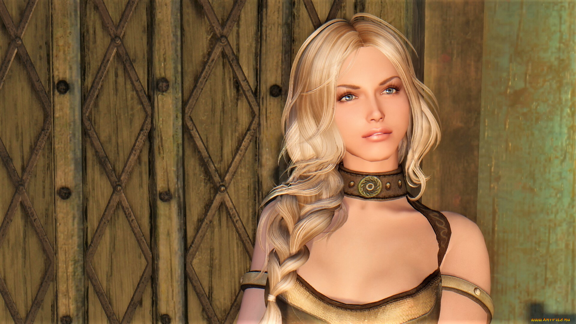 видео, игры, the, elder, scrolls, v, , skyrim, skyrim, девушки, компаньонки, игры, диана