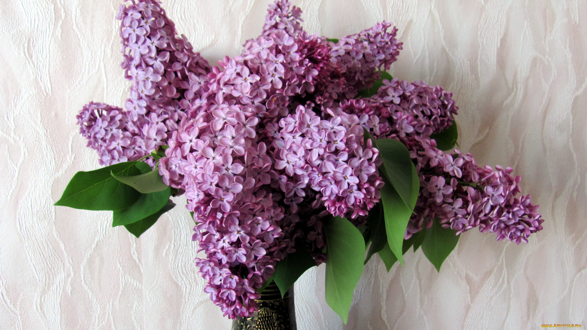 цветы, сирень, букет