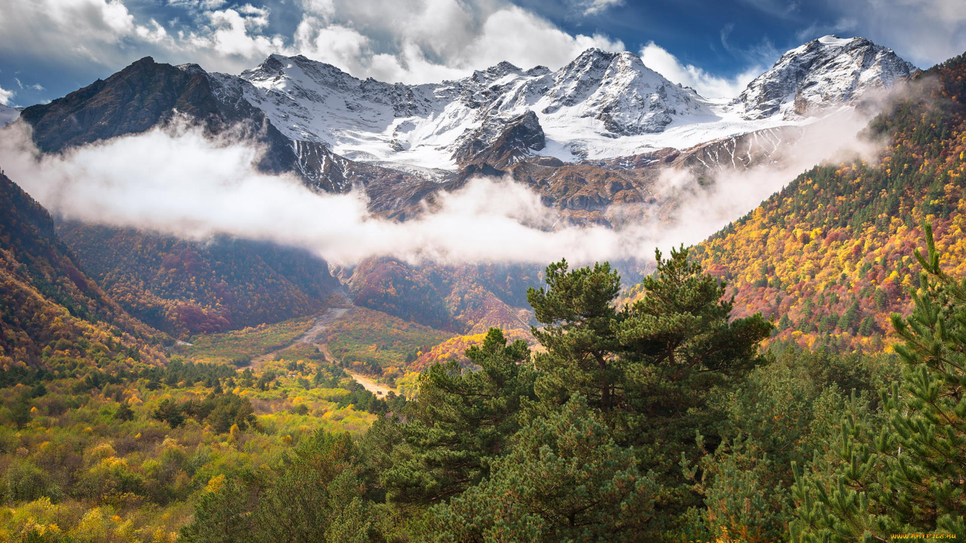 дигорское, ущелье, природа, горы, дигорское, ущелье, кавказ, северная, осетия, россия