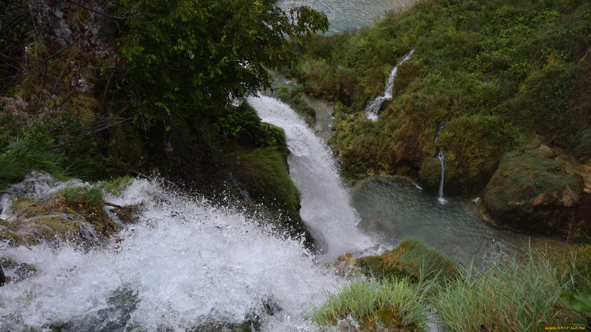 природа, водопады, растения, брызги, вода