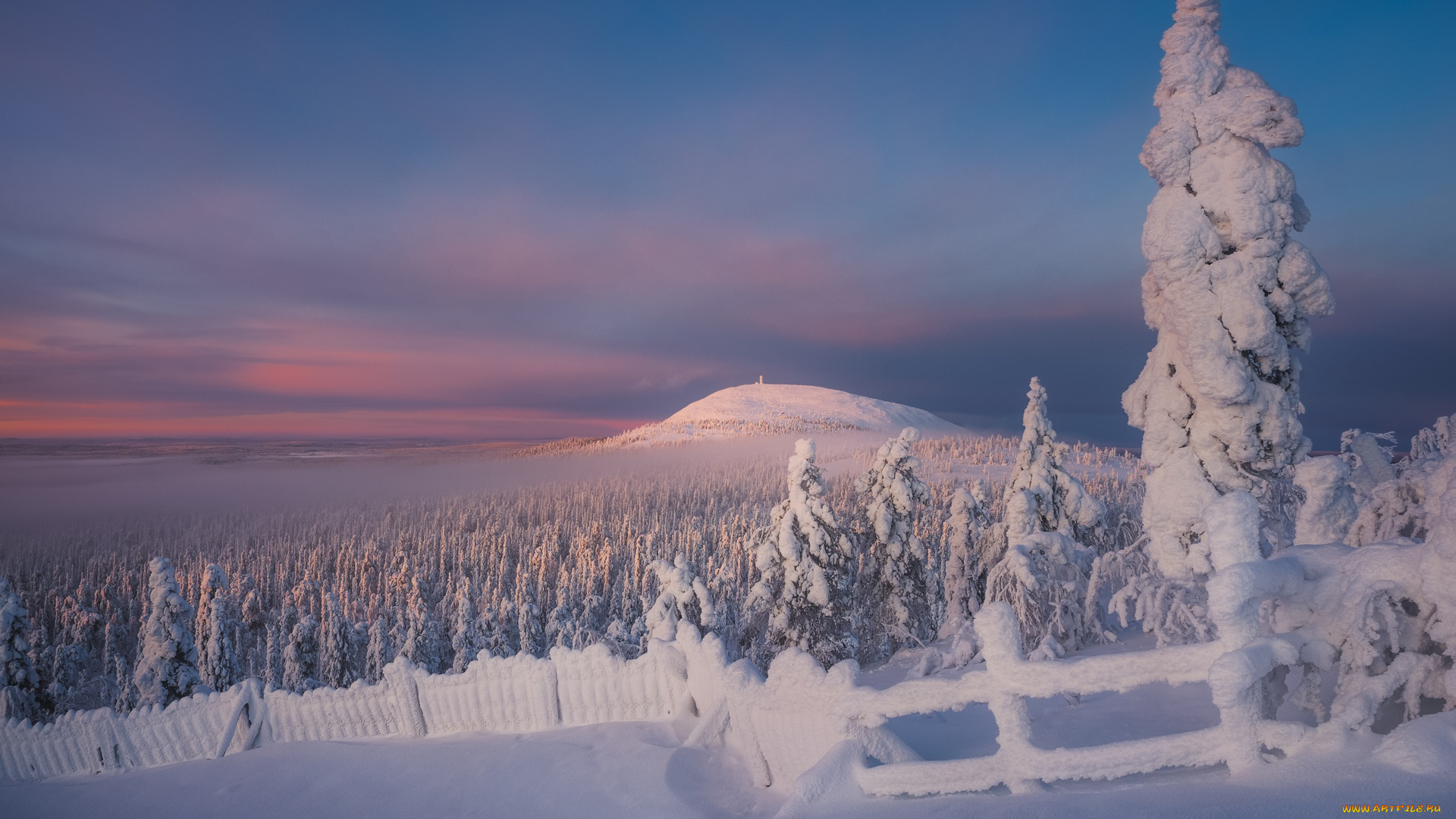 природа, зима, деревья, снег