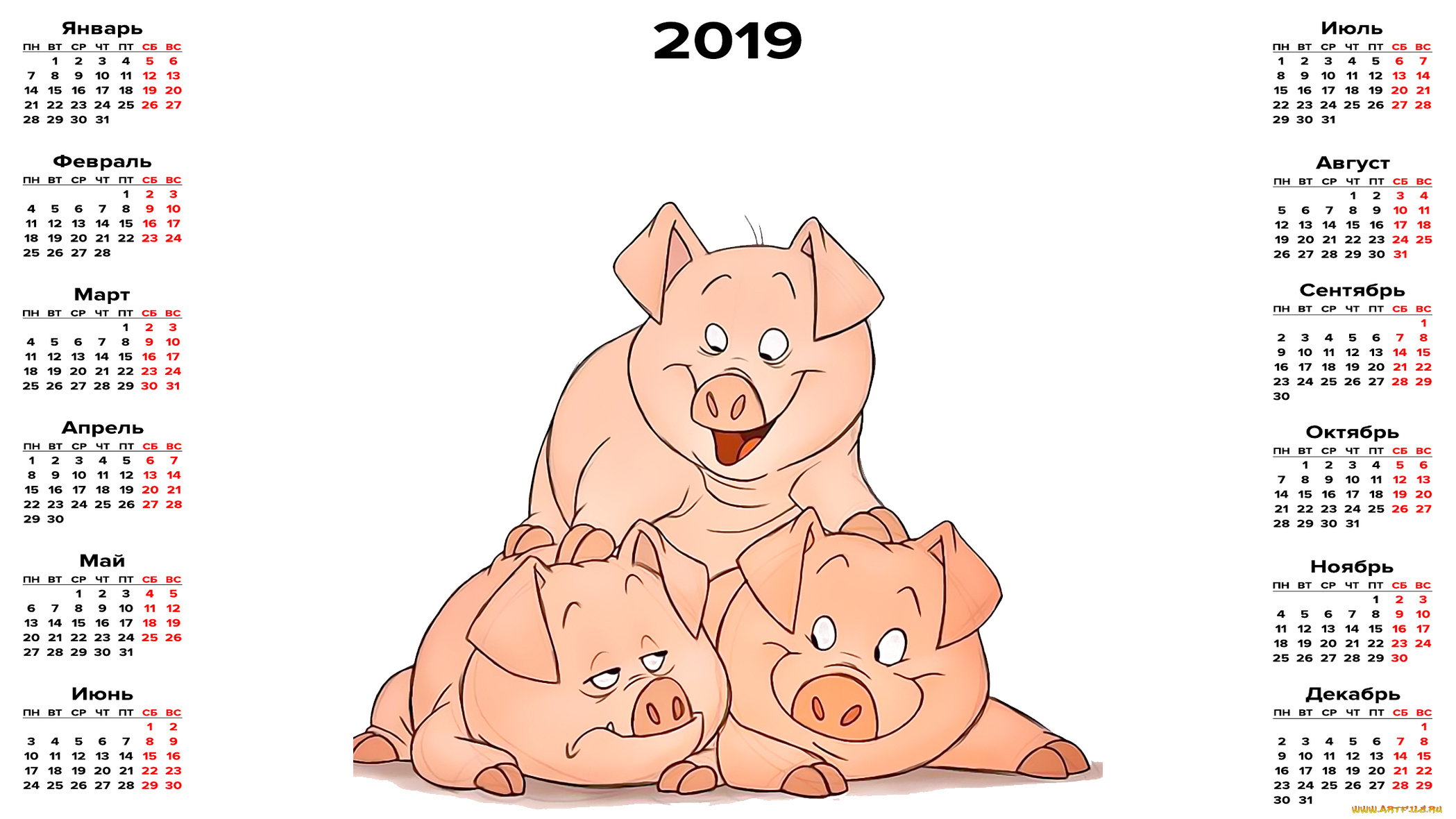 календари, рисованные, , векторная, графика, поросенок, свинья