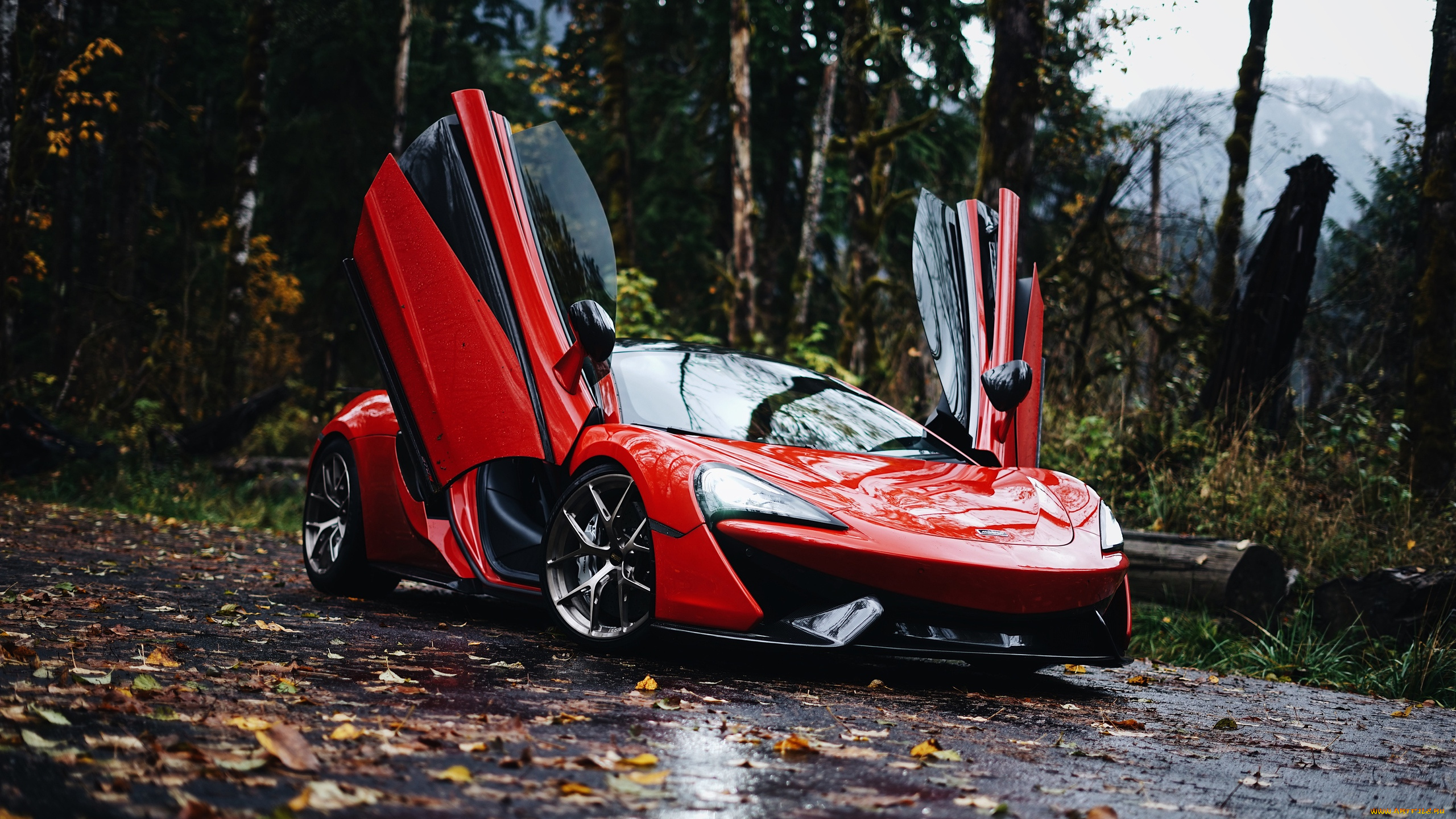 автомобили, mclaren, 570s