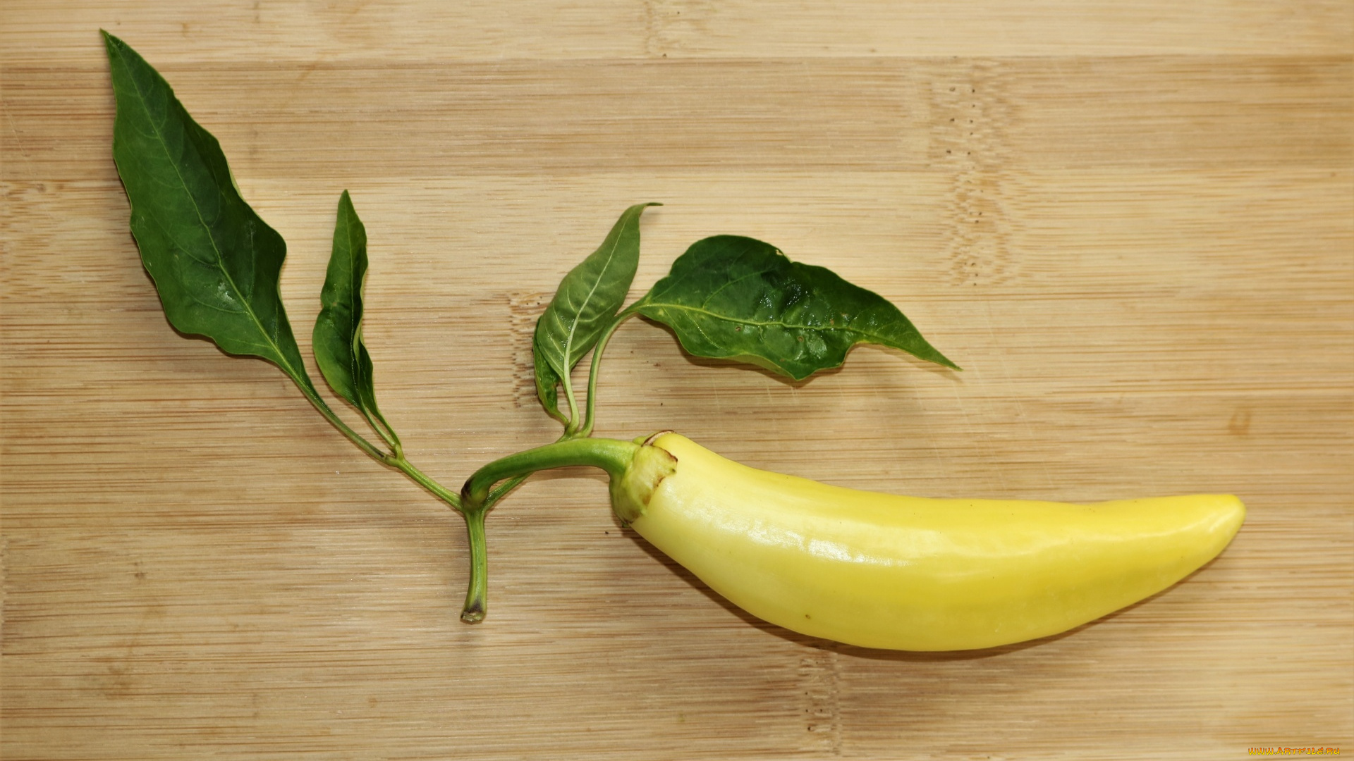 еда, перец, перчик, стручок