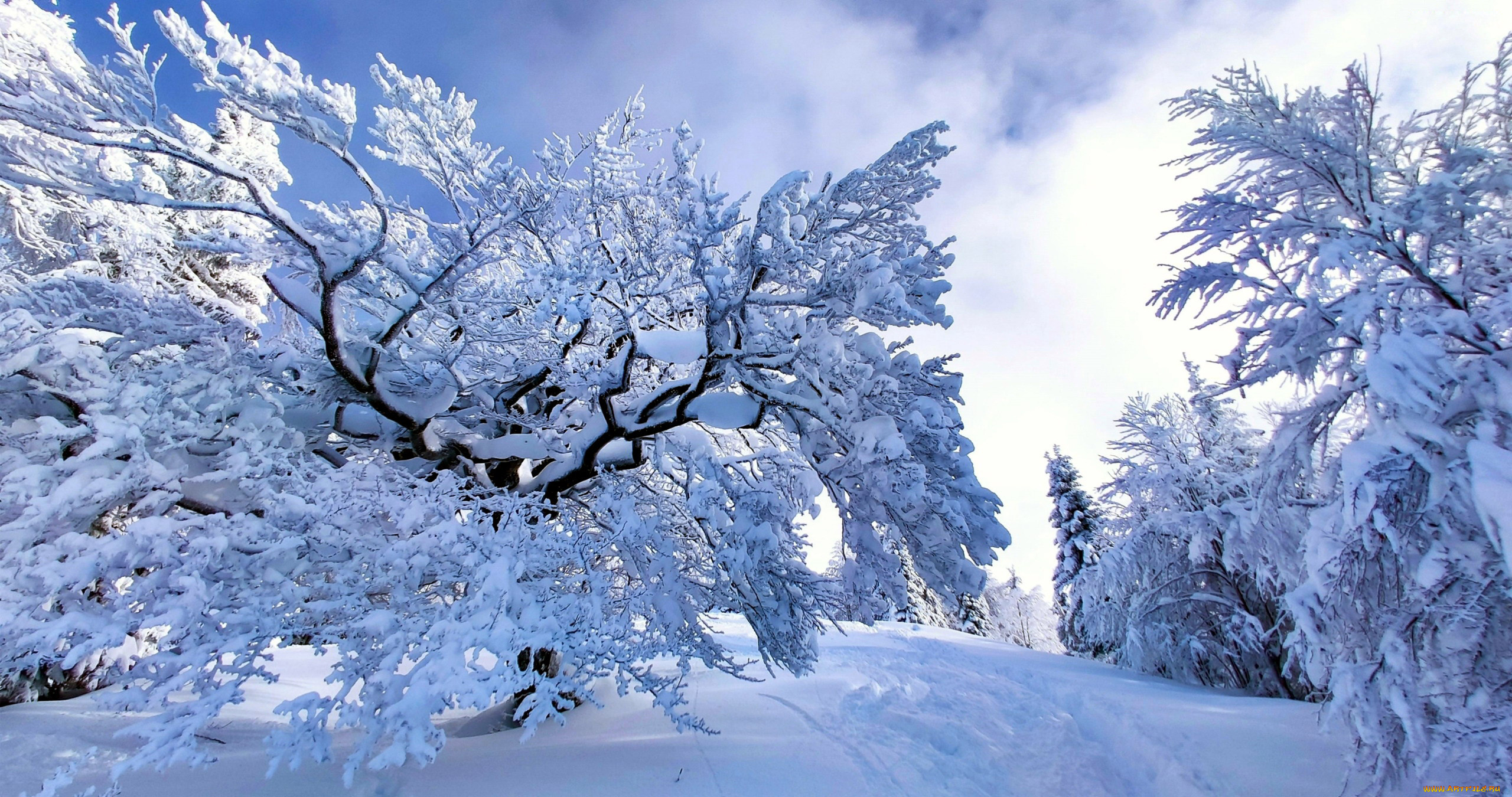 природа, зима, снег, сугробы