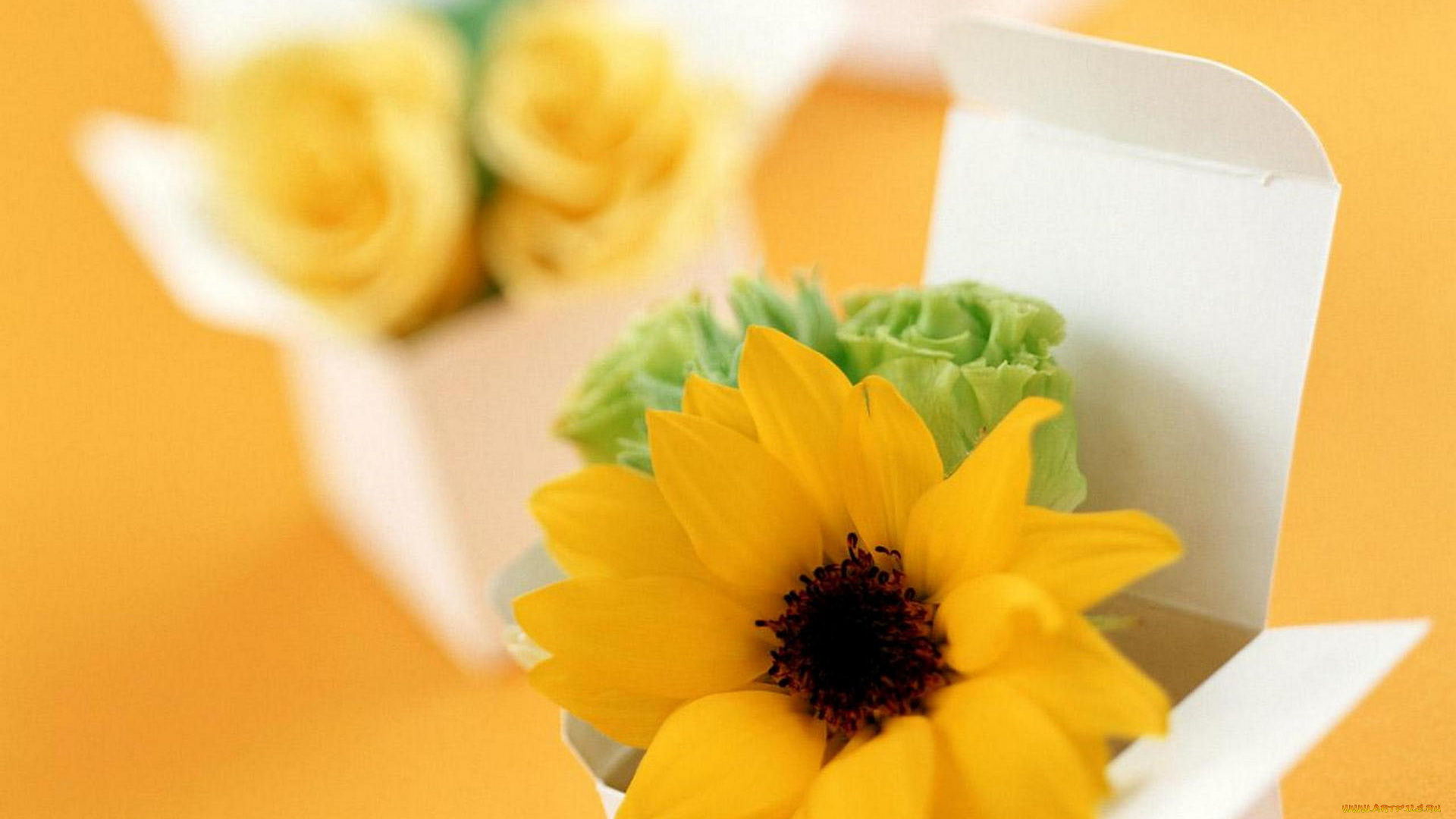 цветы, разные, вместе, коробки, букетики