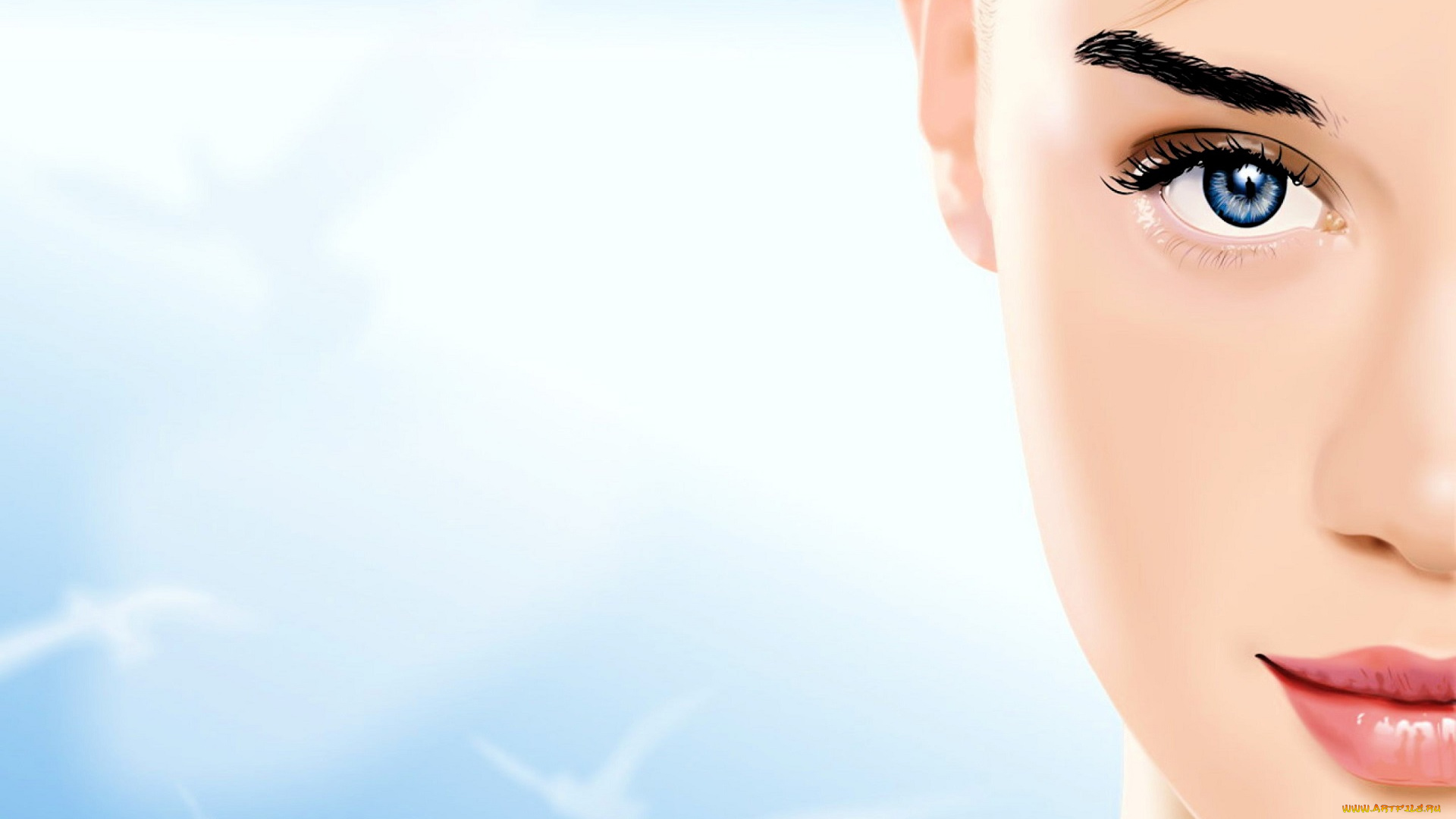 векторная, графика, девушки, , girls, девушка, лицо