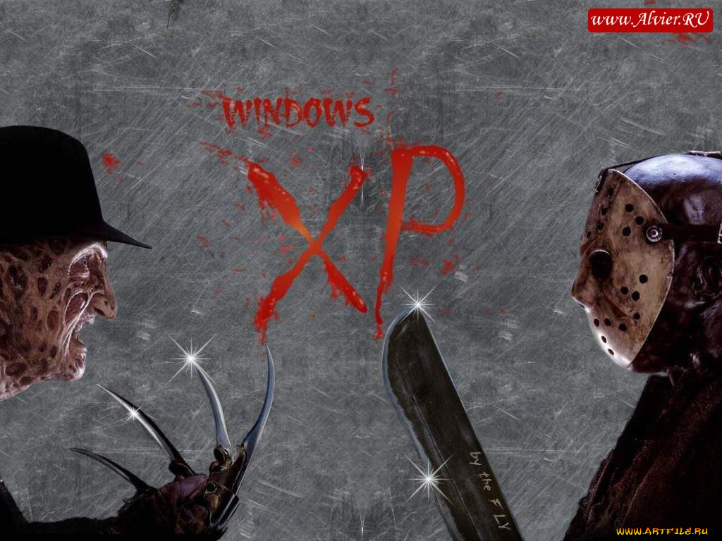 windows, xp, компьютеры