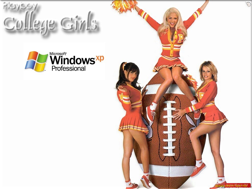 windows, xp, компьютеры