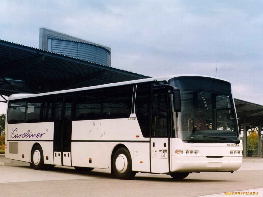 автомобили, автобусы