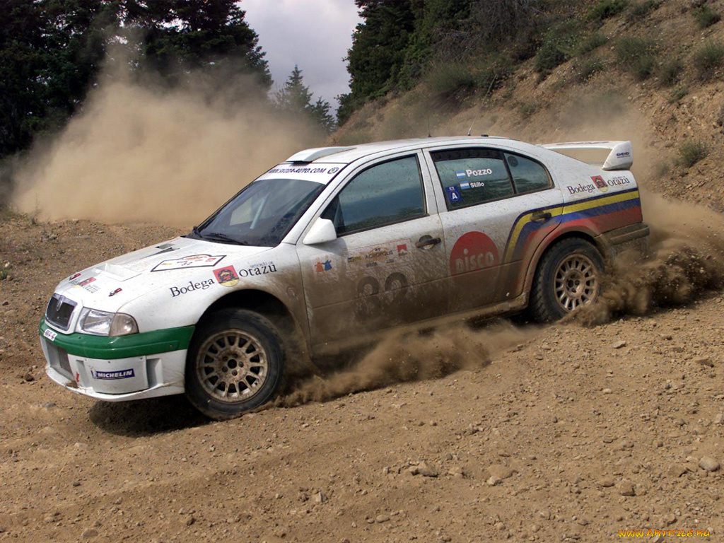 спорт, авторалли