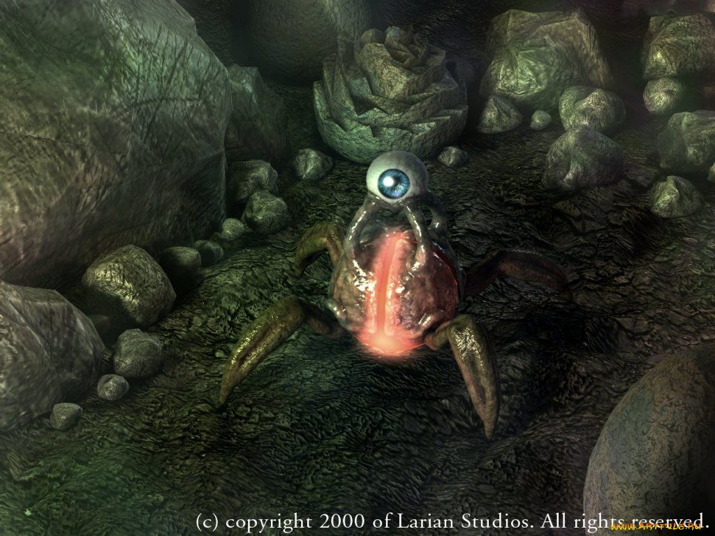 видео, игры, divine, divinity