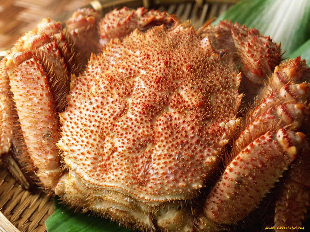 еда, рыба, морепродукты, суши, роллы