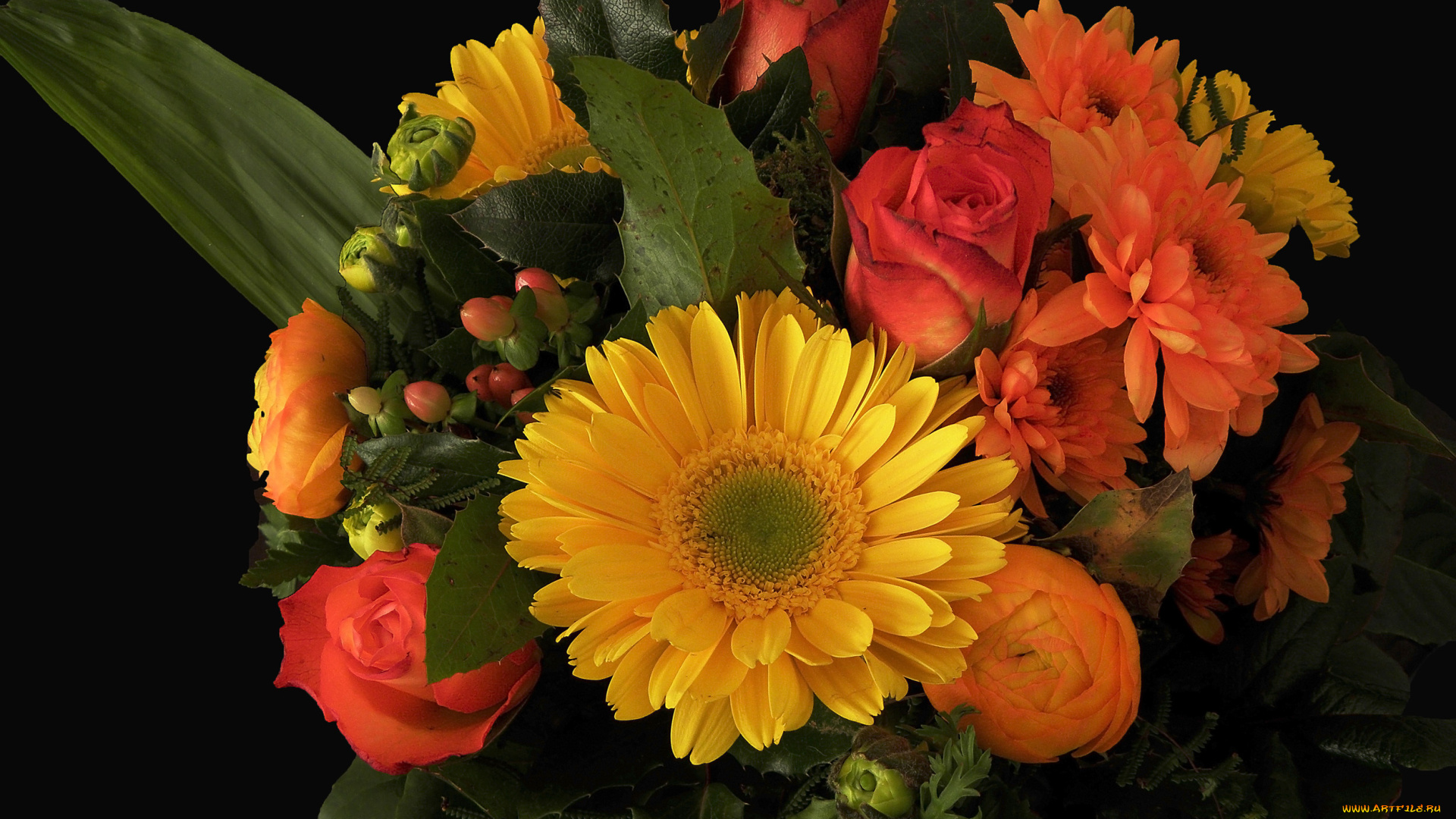 цветы, букеты, композиции