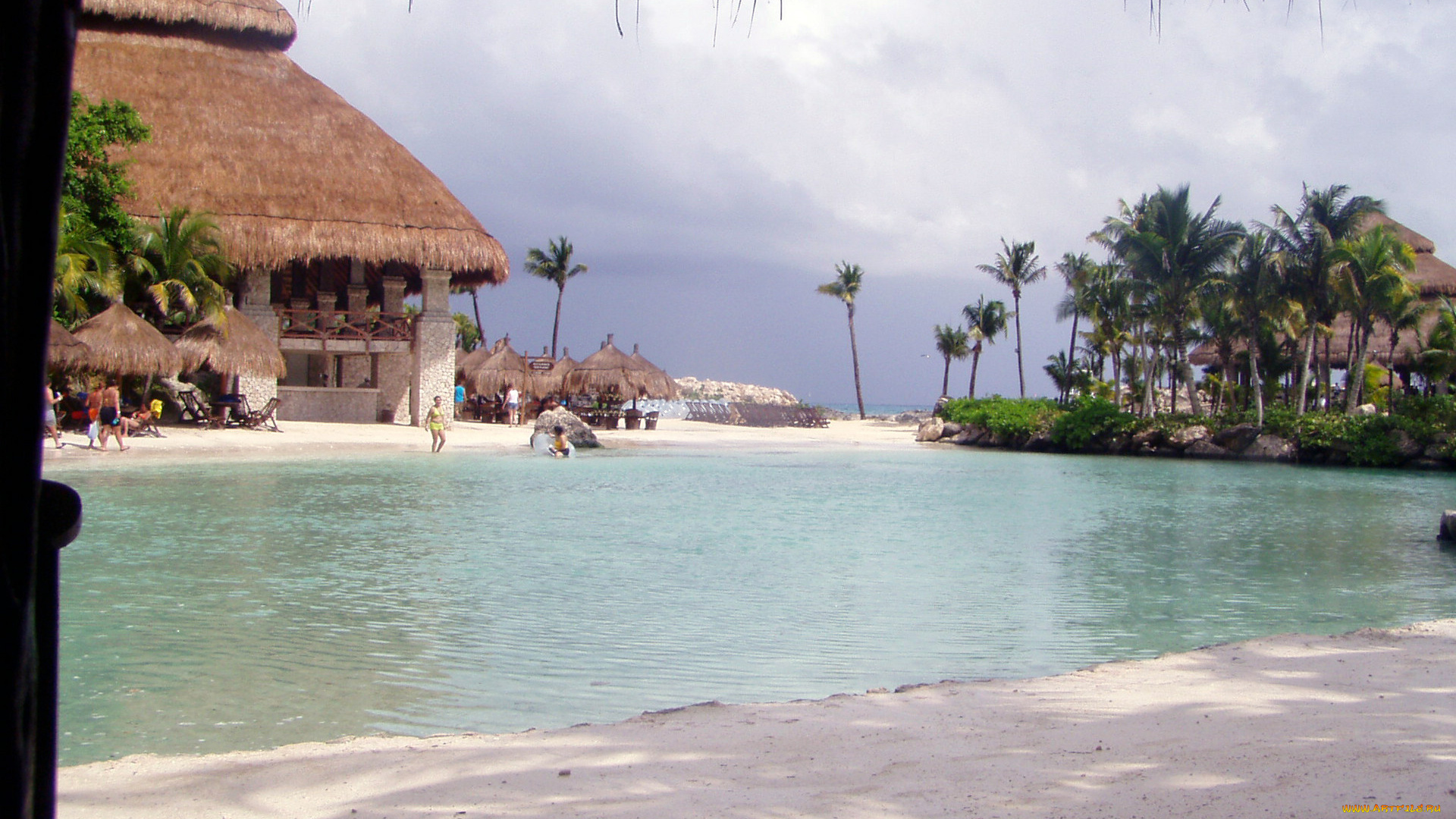 интерьер, бассейны, открытые, площадки, пальмы, бассейн, тропики