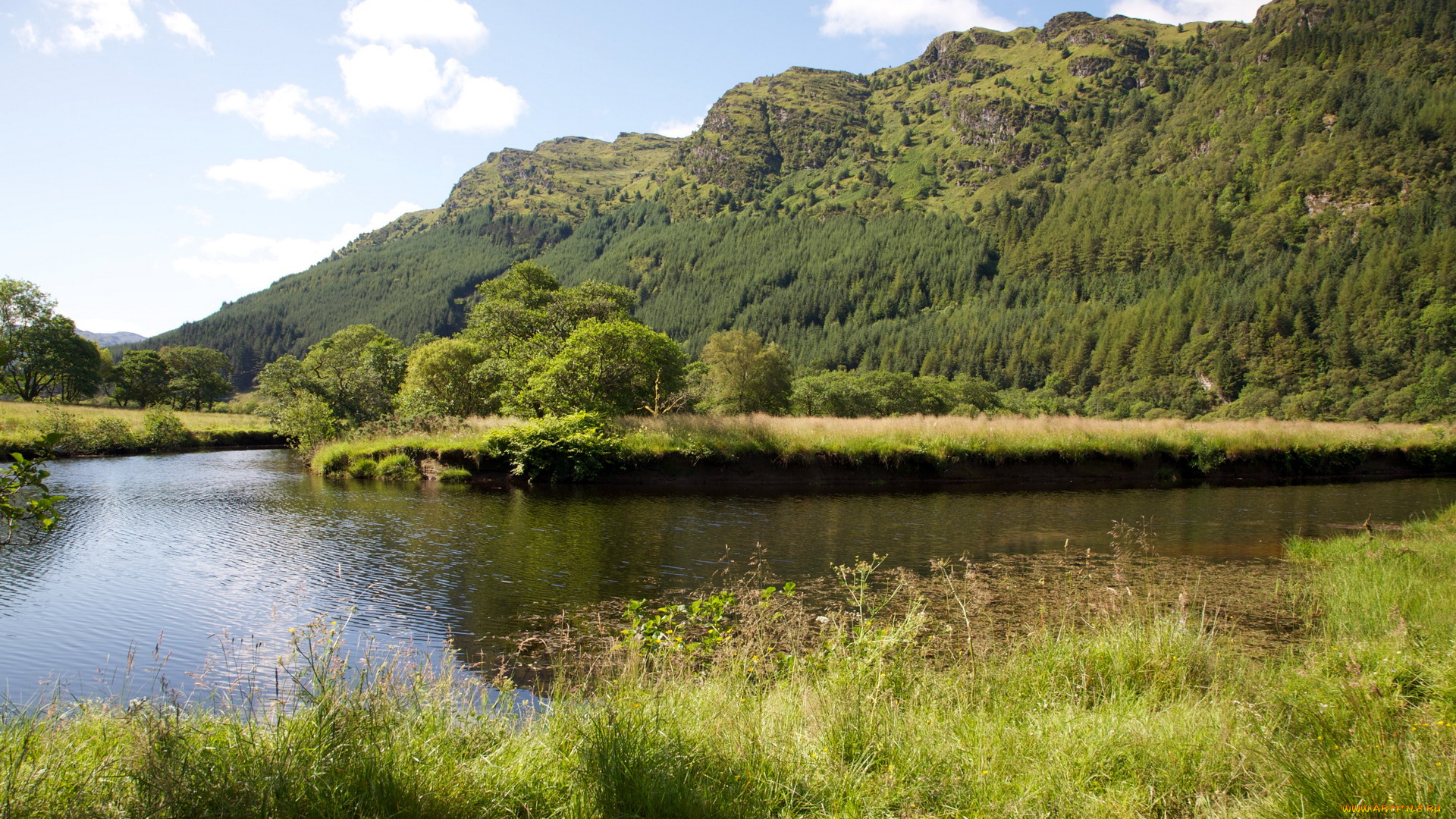 природа, реки, озера, река, горы, лес