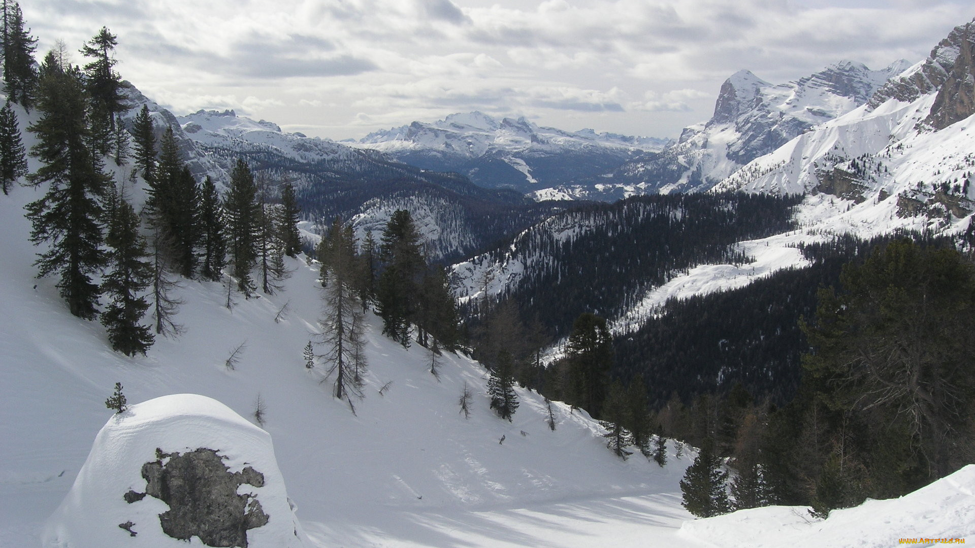 природа, зима, горы, ели, снег