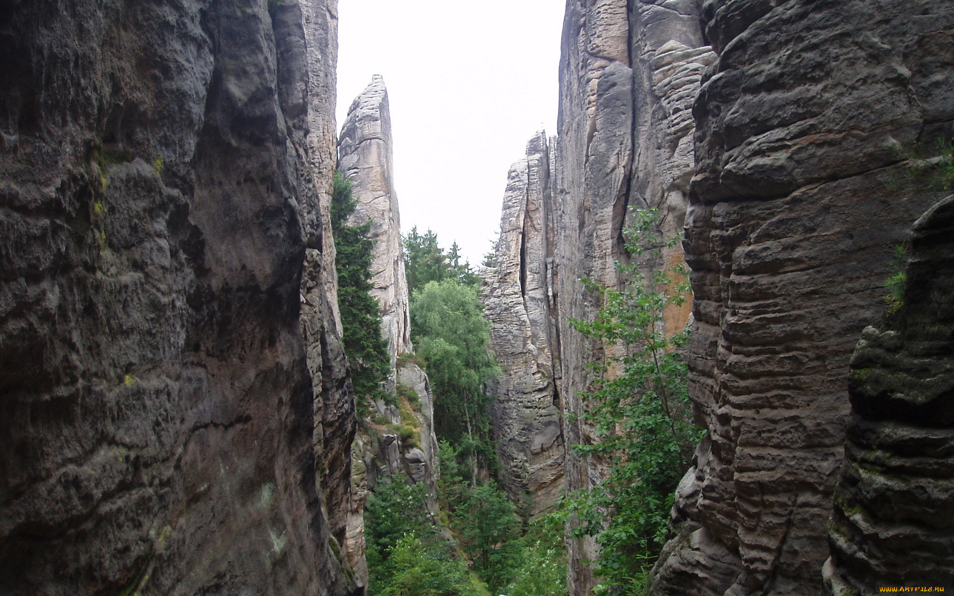 природа, горы, деревья, скалы, ущелье