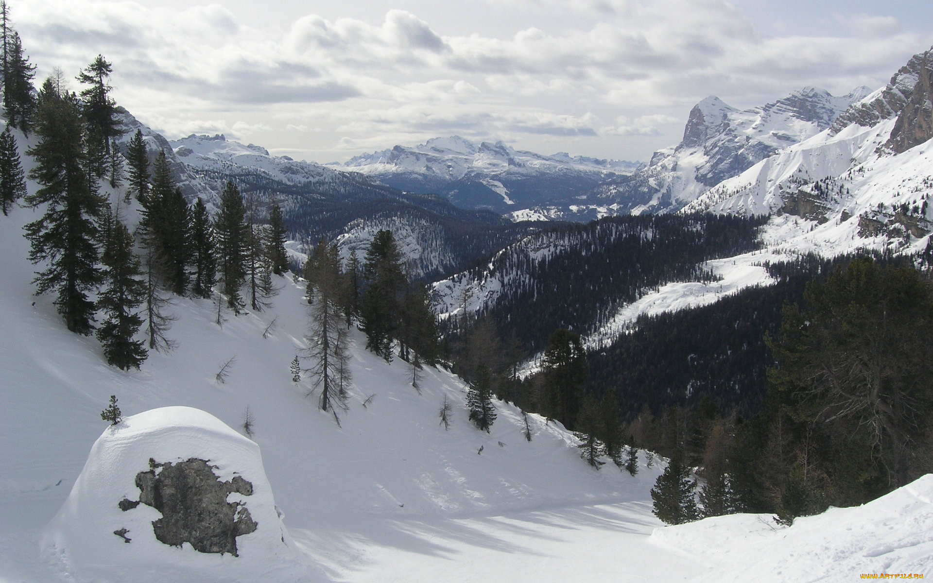 природа, зима, горы, ели, снег