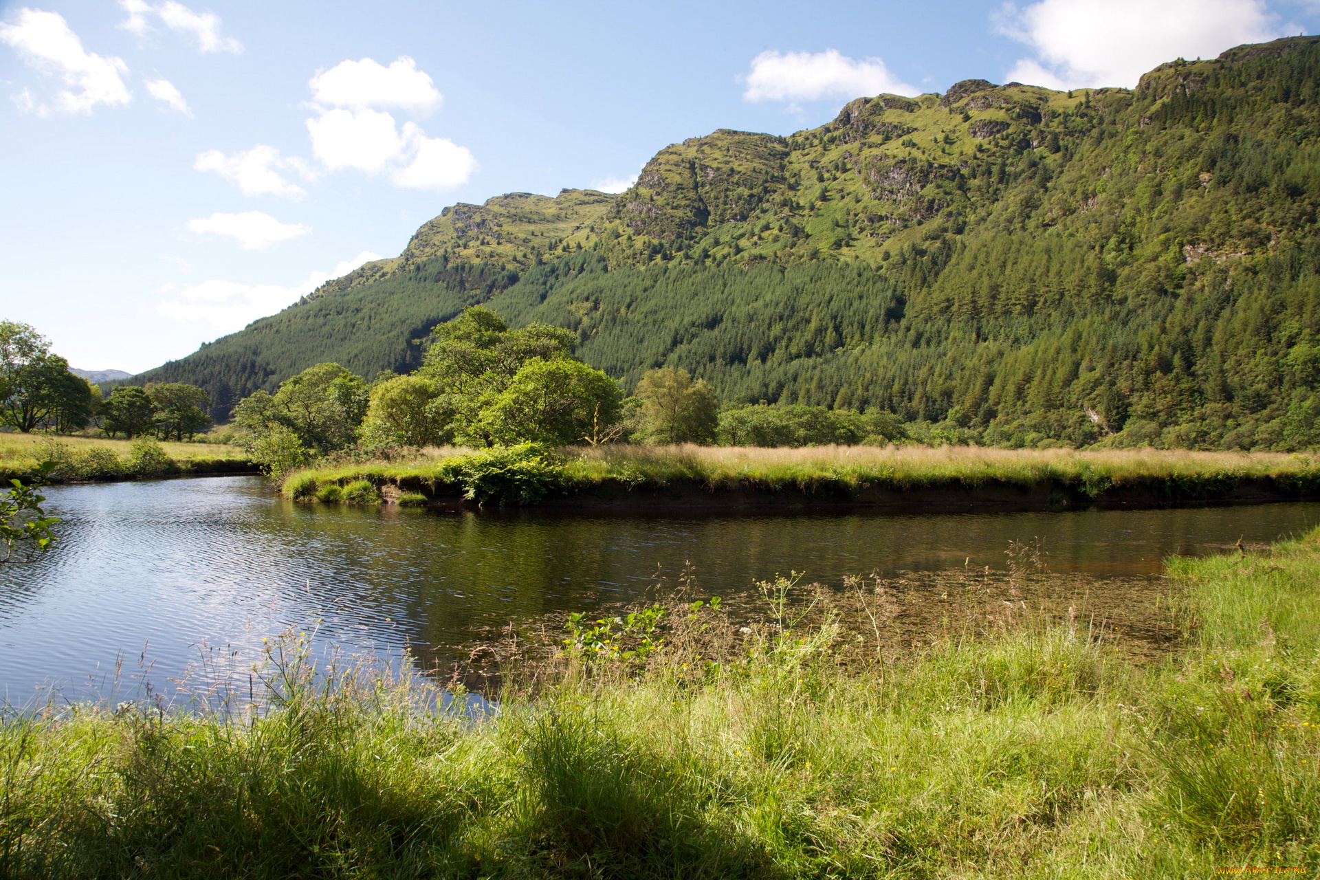 природа, реки, озера, река, горы, лес