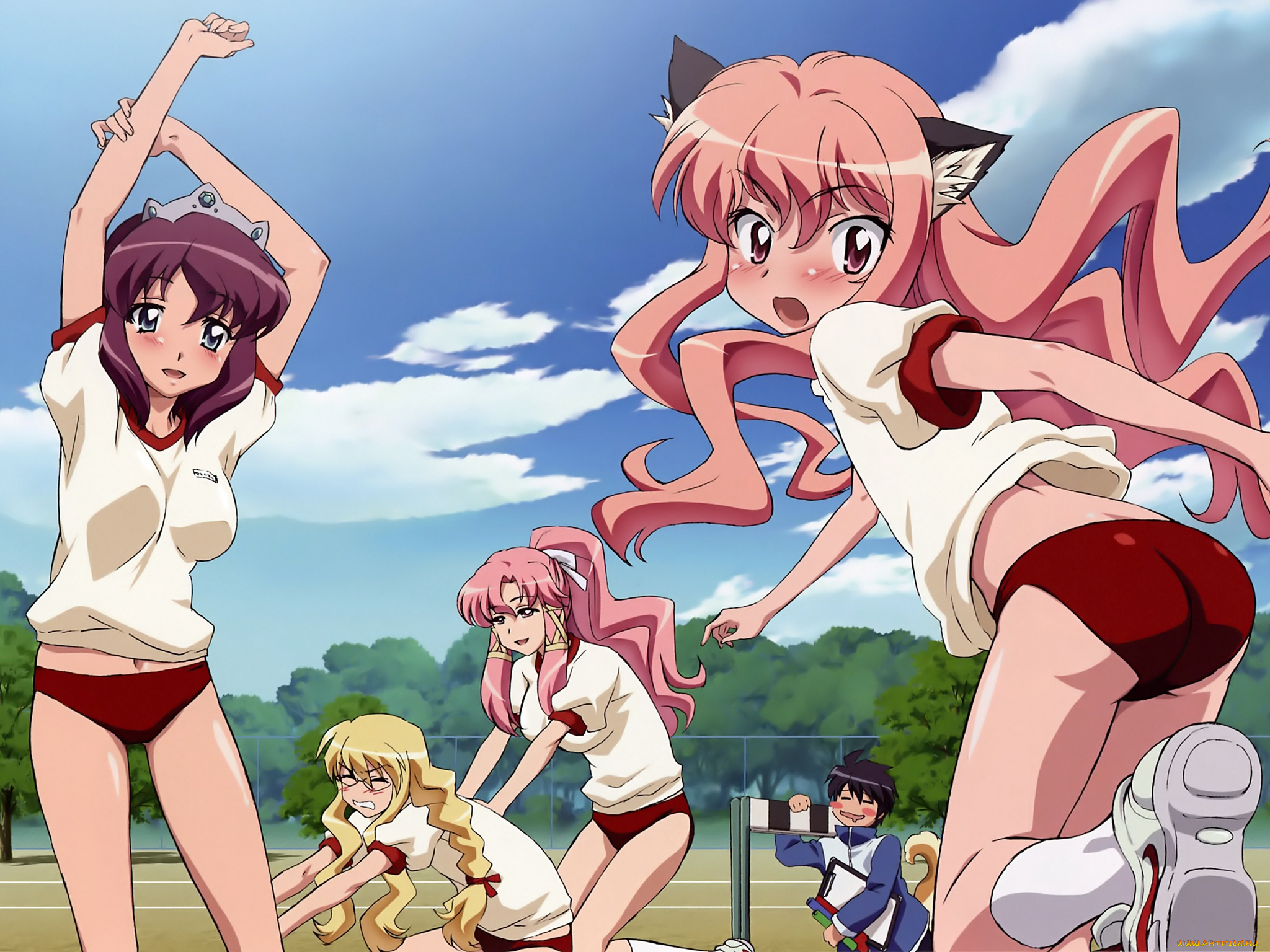 аниме, zero, no, tsukaima, девушки