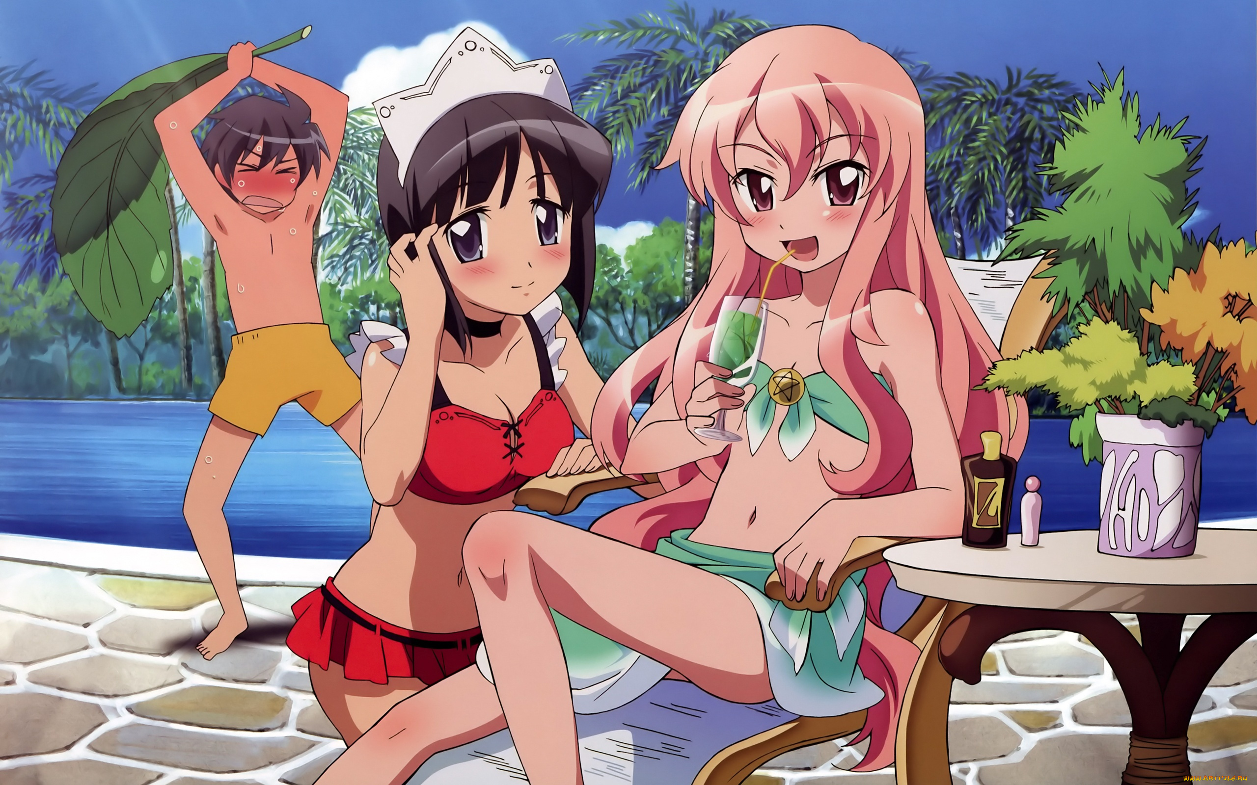 аниме, zero, no, tsukaima, девушки