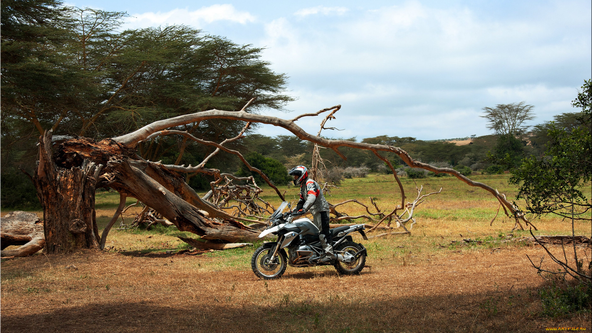 мотоциклы, bmw