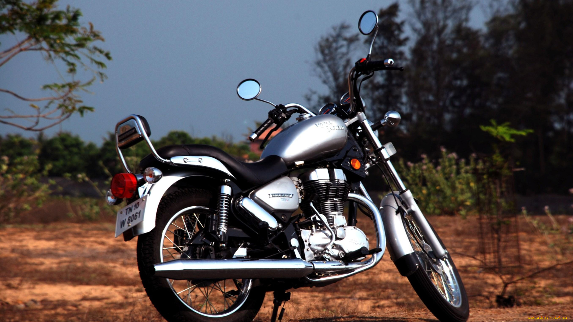 мотоциклы, royal, enfield, bird