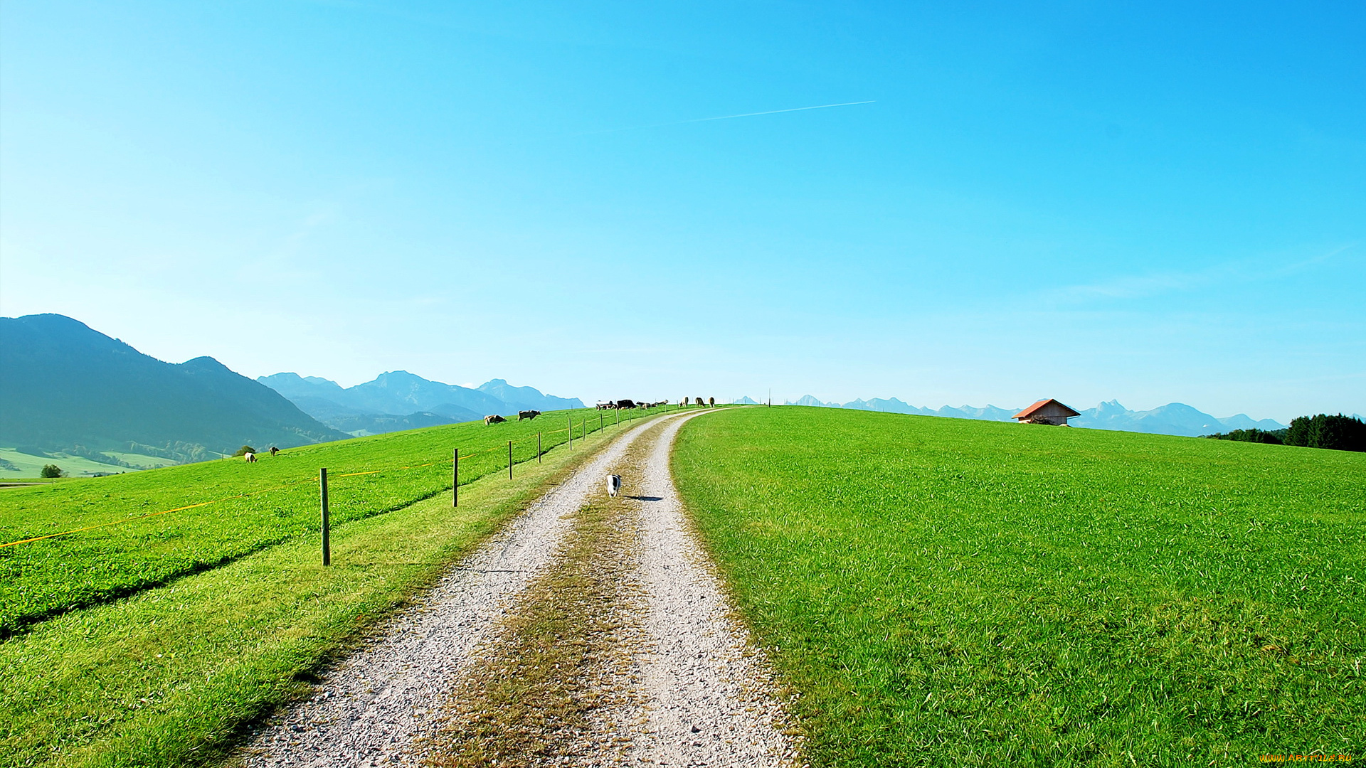 природа, дороги, дорога, поле