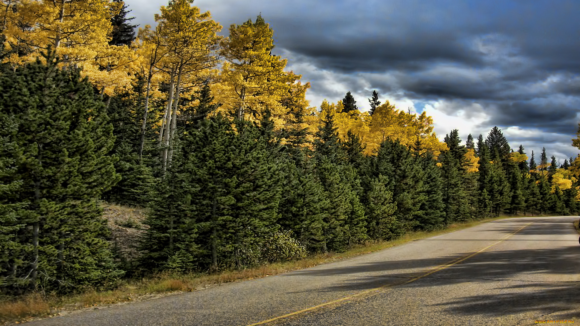 природа, дороги, лес, шоссе, разметка, тучи