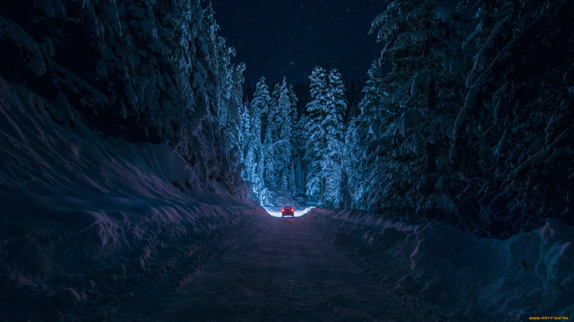 природа, дороги, ночь, елки