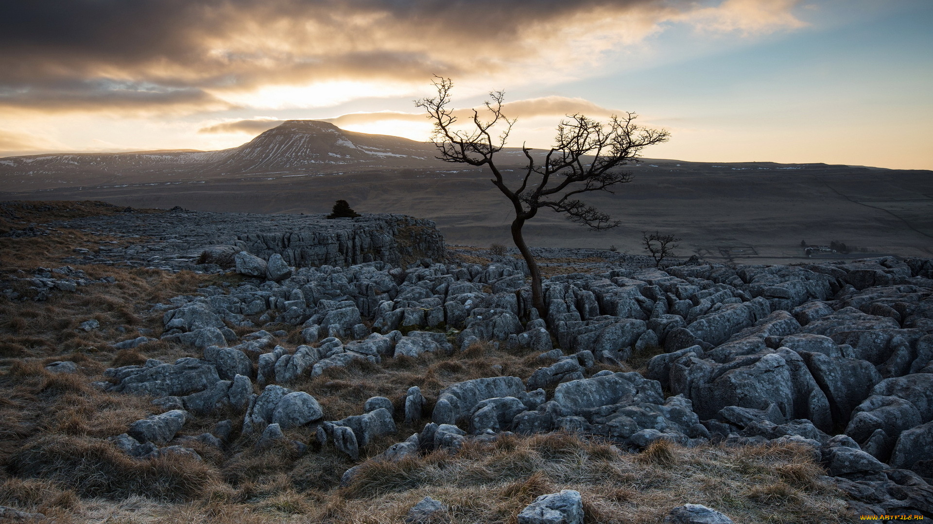 природа, пустыни, горы, плато, камни, трава, дерево