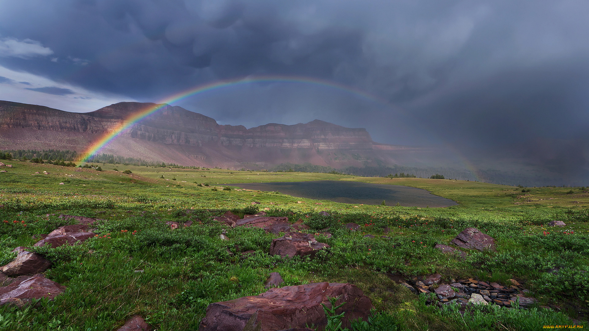 природа, радуга, трава, камни, равнина, горы