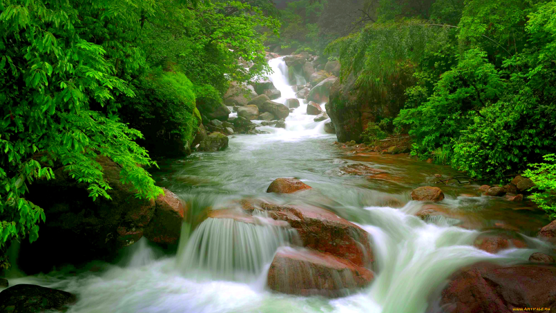 природа, реки, озера, пороги, река, лес, стремнина