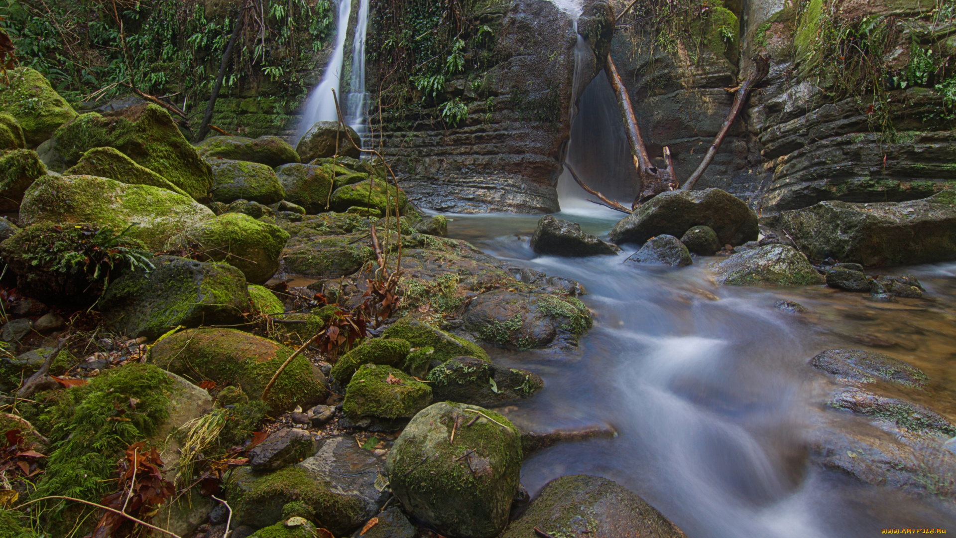 природа, реки, озера, вода, поток, камни, мох