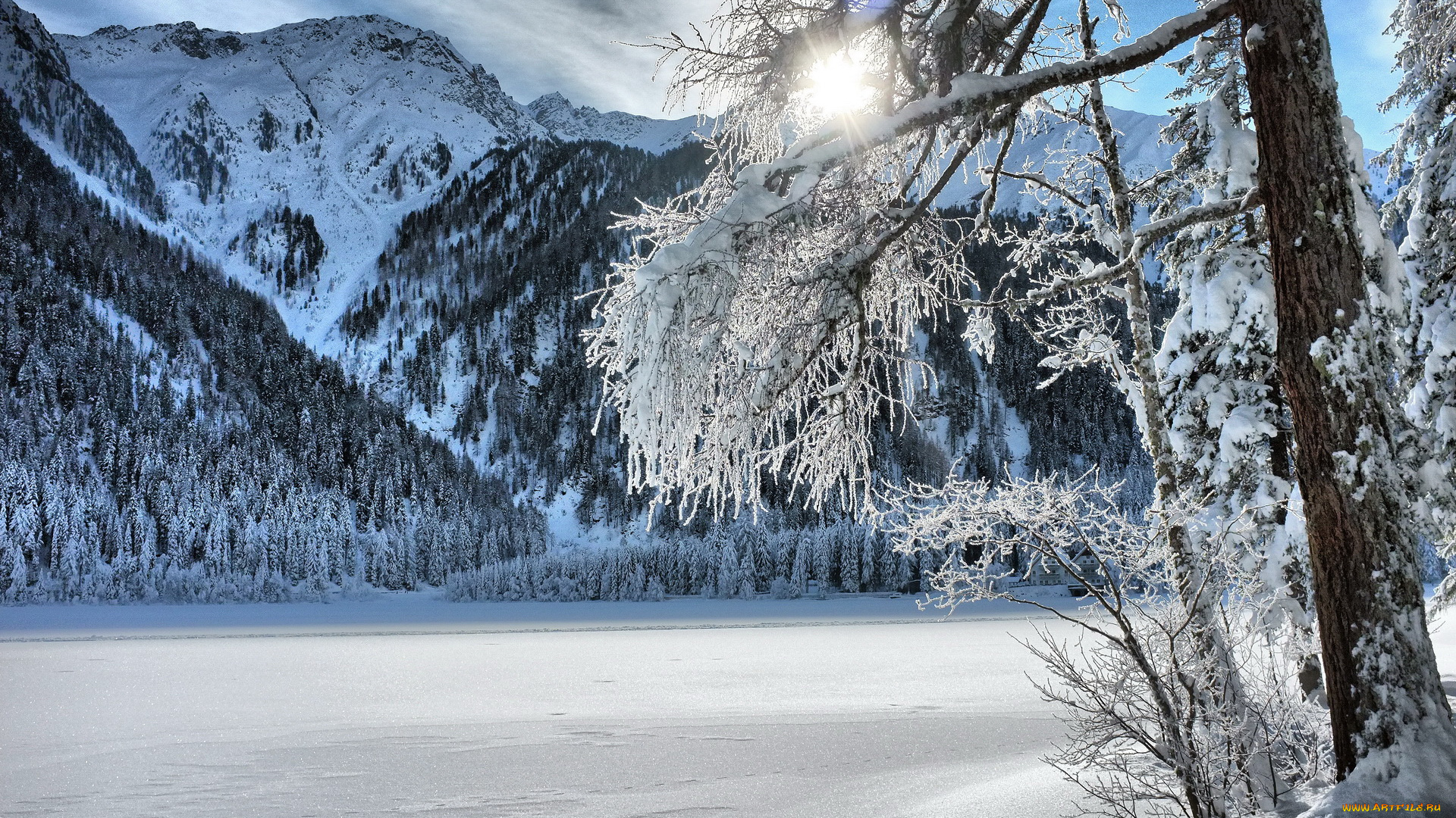 природа, зима, деревья, горы, снег