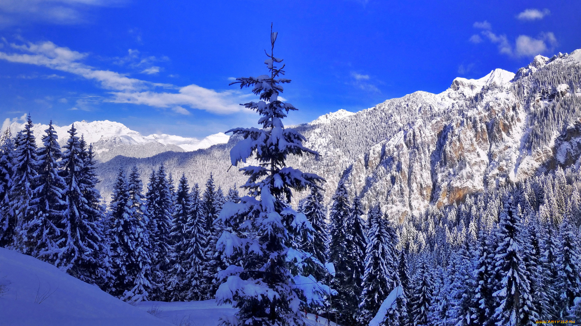 природа, зима, горы, снег, ели