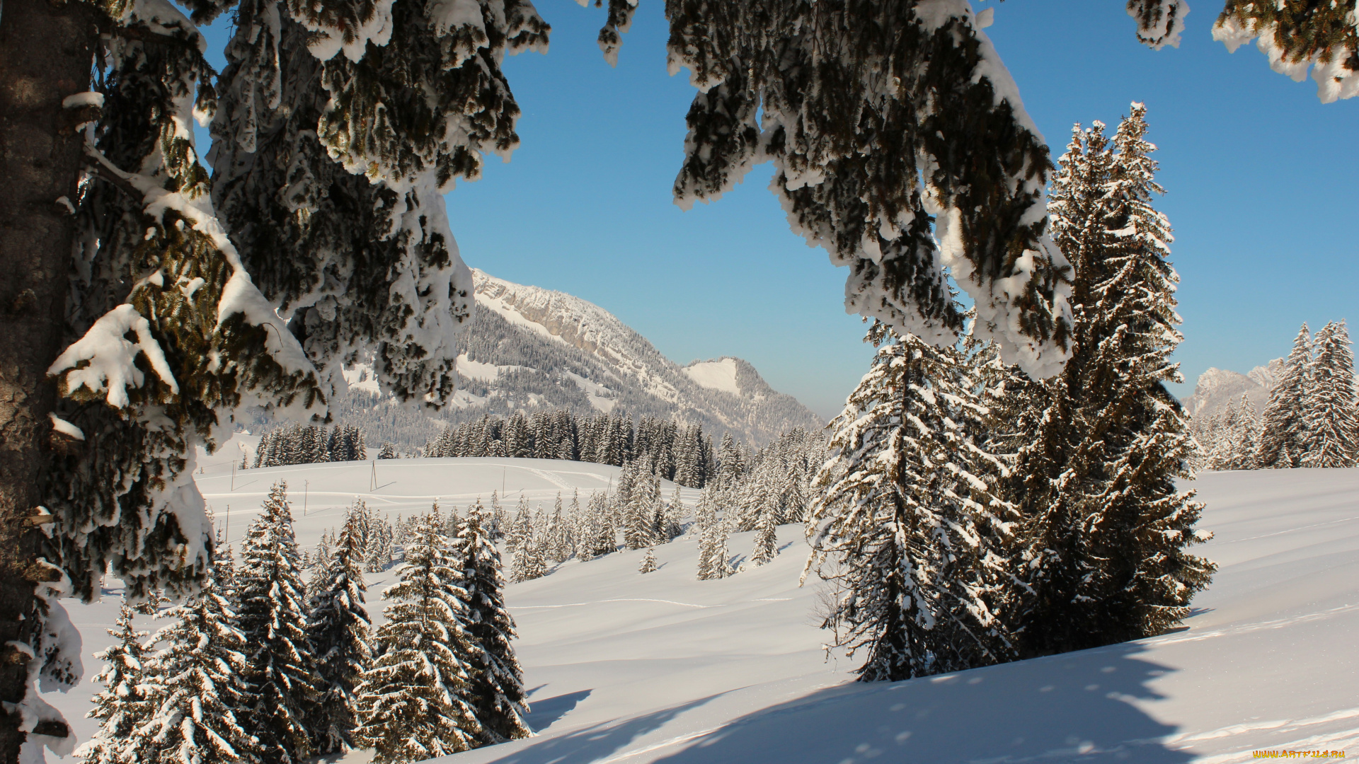 швейцария, люцерн, флюли, природа, зима, снег, горы